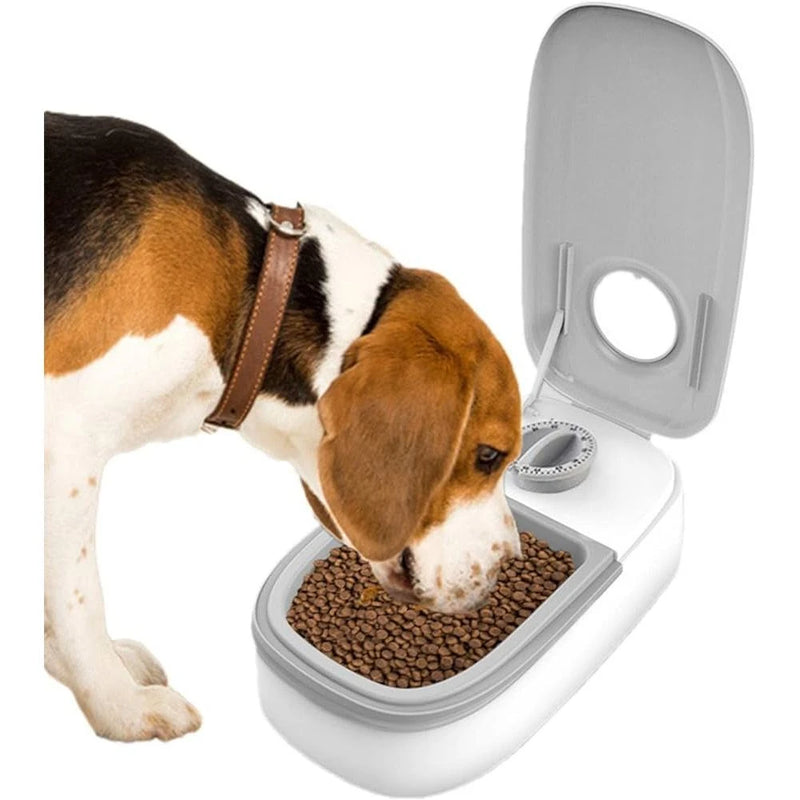 Water 2 In 1 Dog Pet Cat Food Food Double Timer